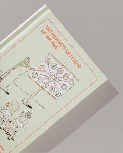 Entendendo seu filho de um ano