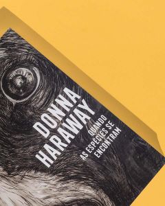 Quando as espécies se encontram